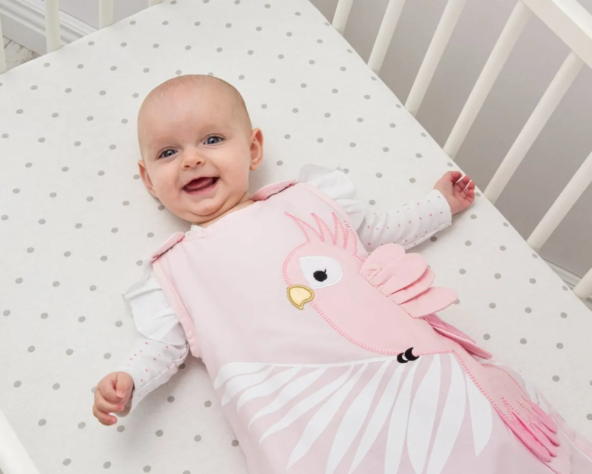 Bizzi Growin -BABY SLEEPING BAG 0-6 MONTHS 2.5 TOG – Pippa Parrot