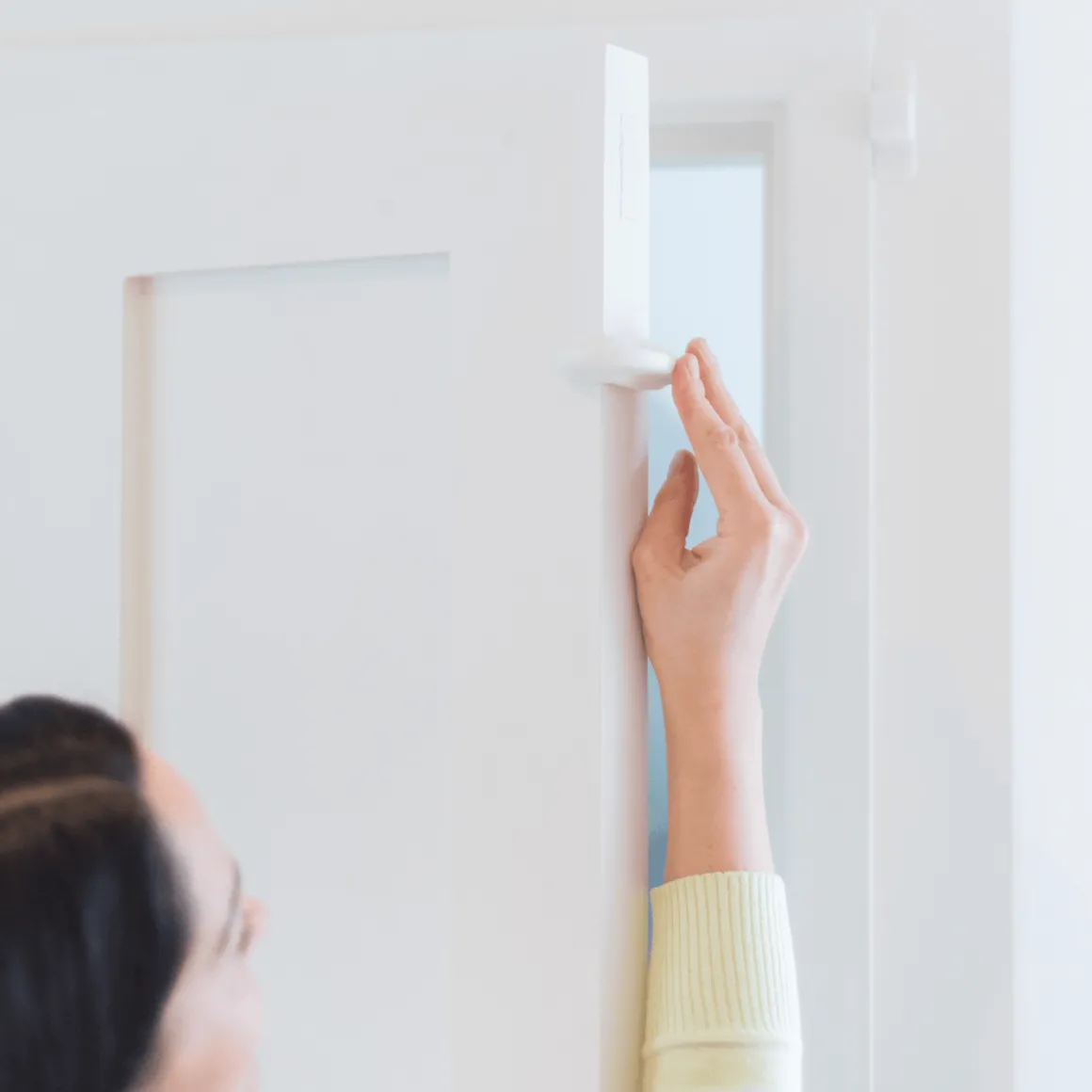 Fred Door Slam Stopper