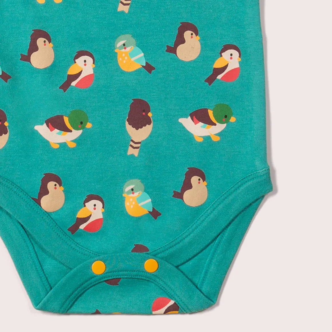 Little Green Radicals - Garden Birds Organic Baby Bodysuit Set - 2 Pack