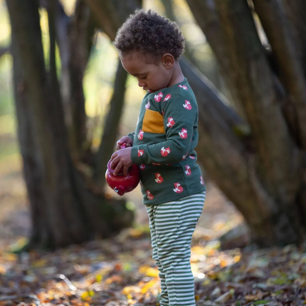 Little Green Radicals - Little Fox Organic T-Shirt & Jogger Playset