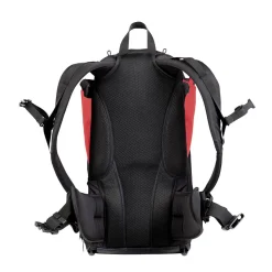 Phil & Teds Parade™ Back Carrier -  Red