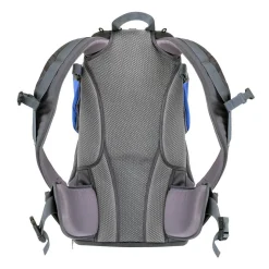 Phil & Teds Parade™ Back Carrier -  Blue